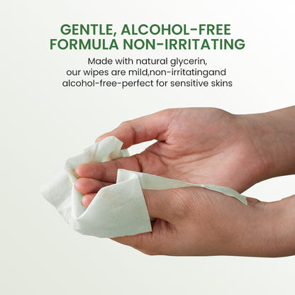 Green Tea Antibacterial Wipes
